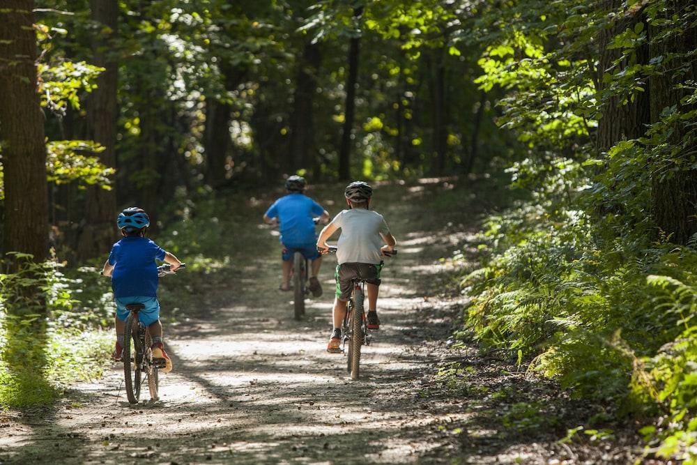 Chestnut Mountain Resort Галена Екстериор снимка