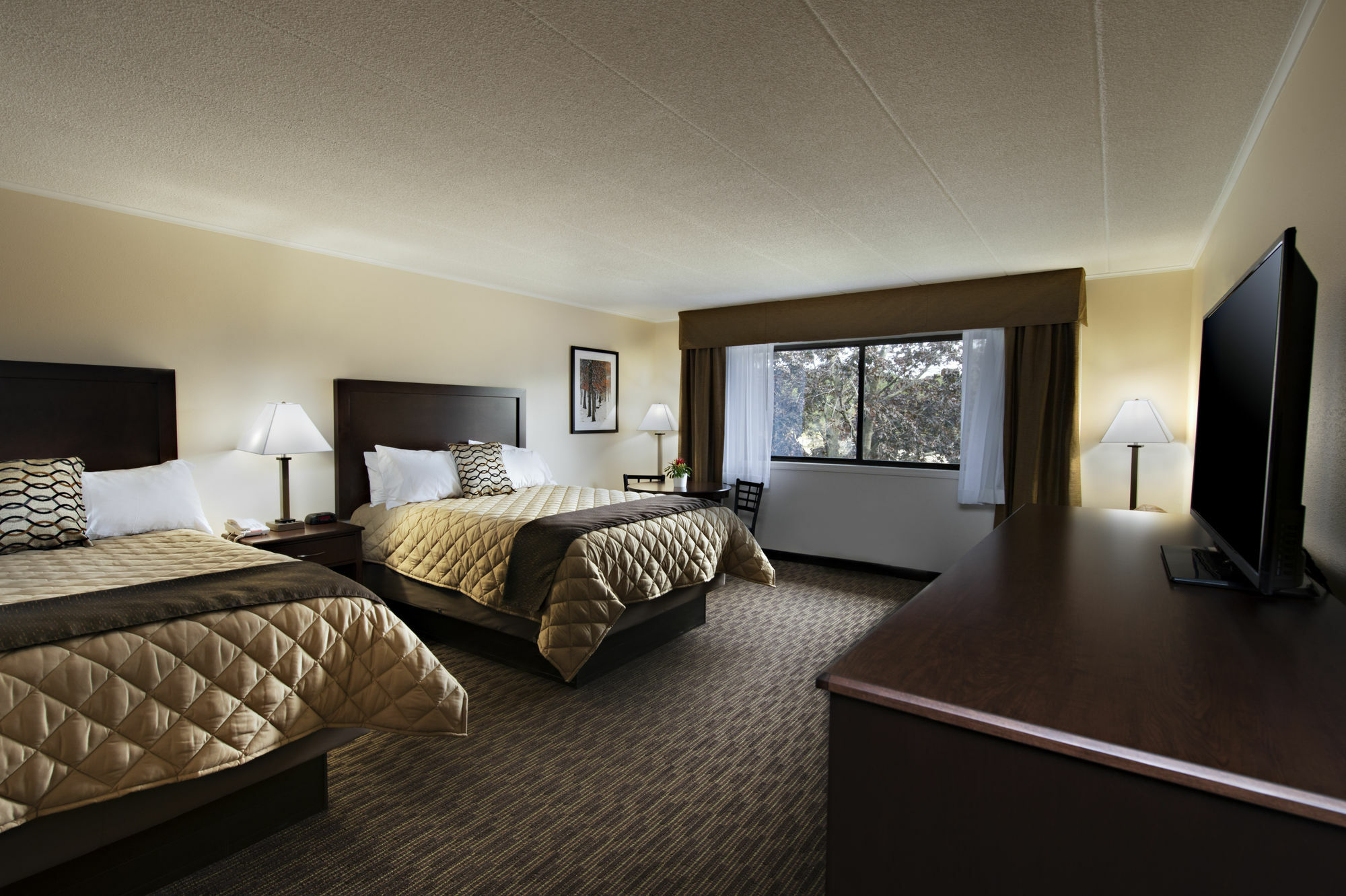 Chestnut Mountain Resort Галена Екстериор снимка