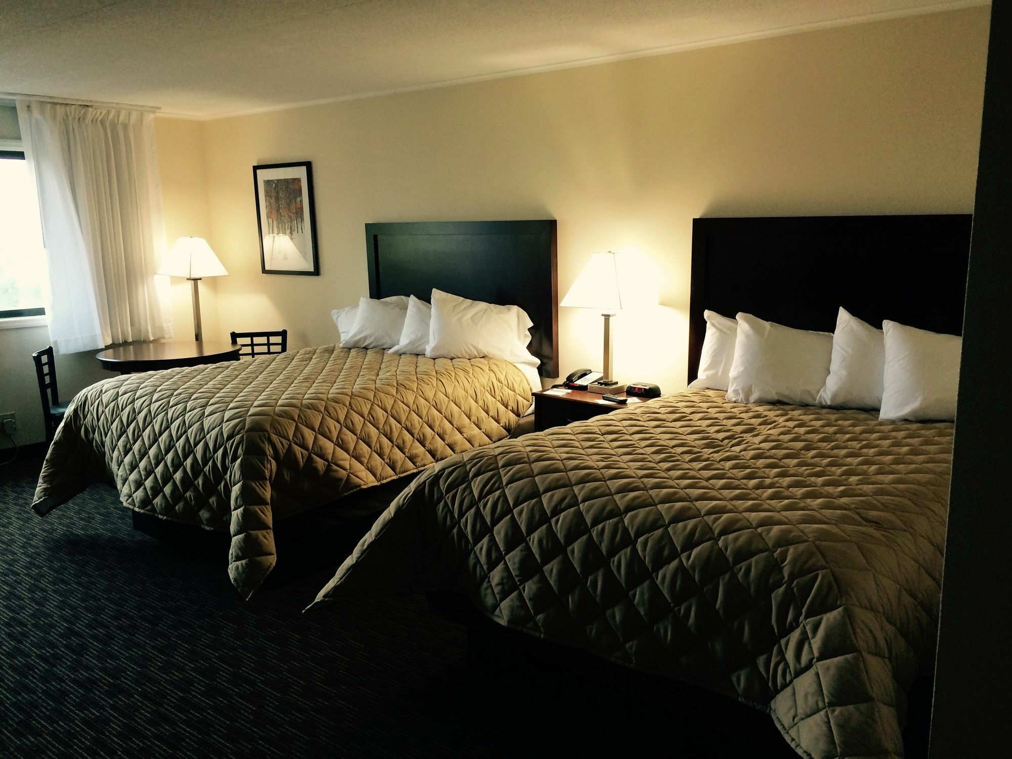 Chestnut Mountain Resort Галена Екстериор снимка